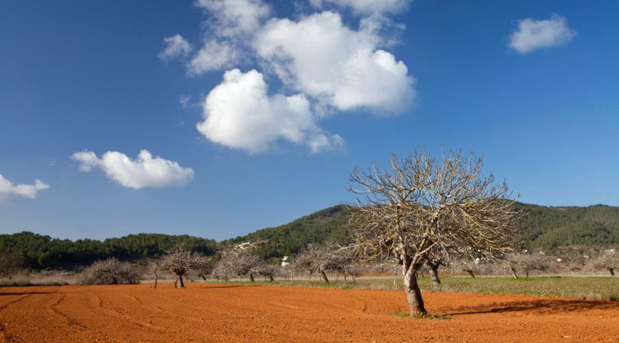 Sant Miquel de Balansat